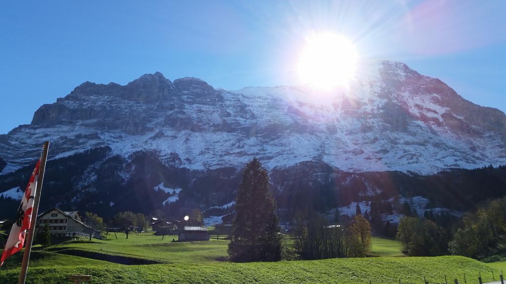 Chalet Bodenwald Apartment Grindelwald Exterior photo